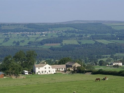 Capple Bank Farm Bed & Breakfast Wensley Exterior photo